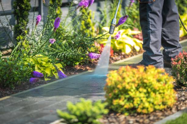 Best Patio and Deck Pressure Washing  in Vevay, IN
